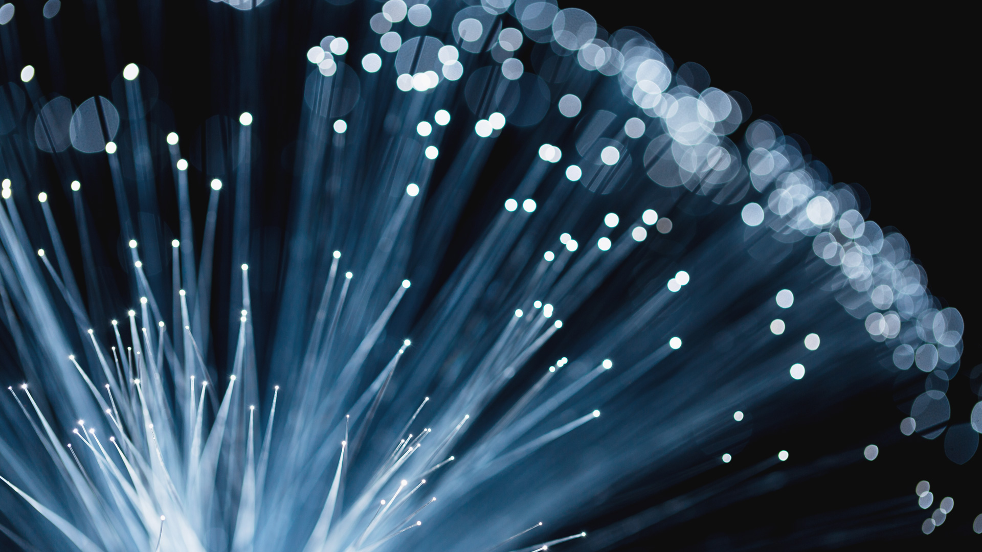 Optical Fiber B